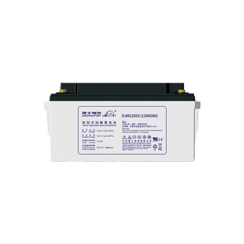 四川理士蓄电池DJM1265（12V65AH）